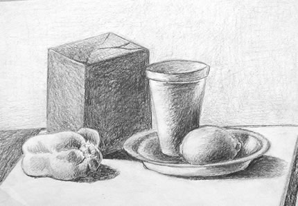 black and white still life drawings