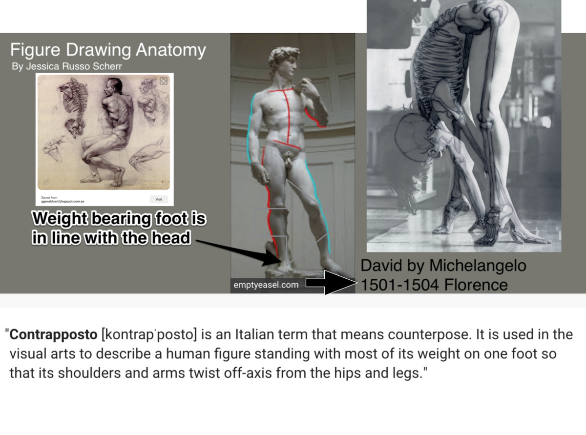 Figure Drawing Human Anatomy | Art Education | Jessica Russo Scherr